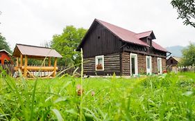 Wild-Traditional Bucovina